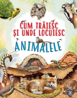 Cum traiesc si unde locuiesc animalele