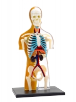 Kit STEM Anatomia corpului uman, Thames & Kosmos