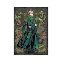 Puzzle Harry Potter - Draco Malfoy (250 piese)