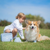 Setul micului veterinar