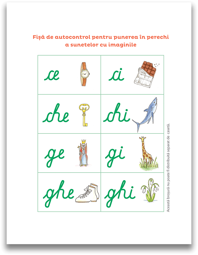 Casetele Montessori - Invat sa citesc cu