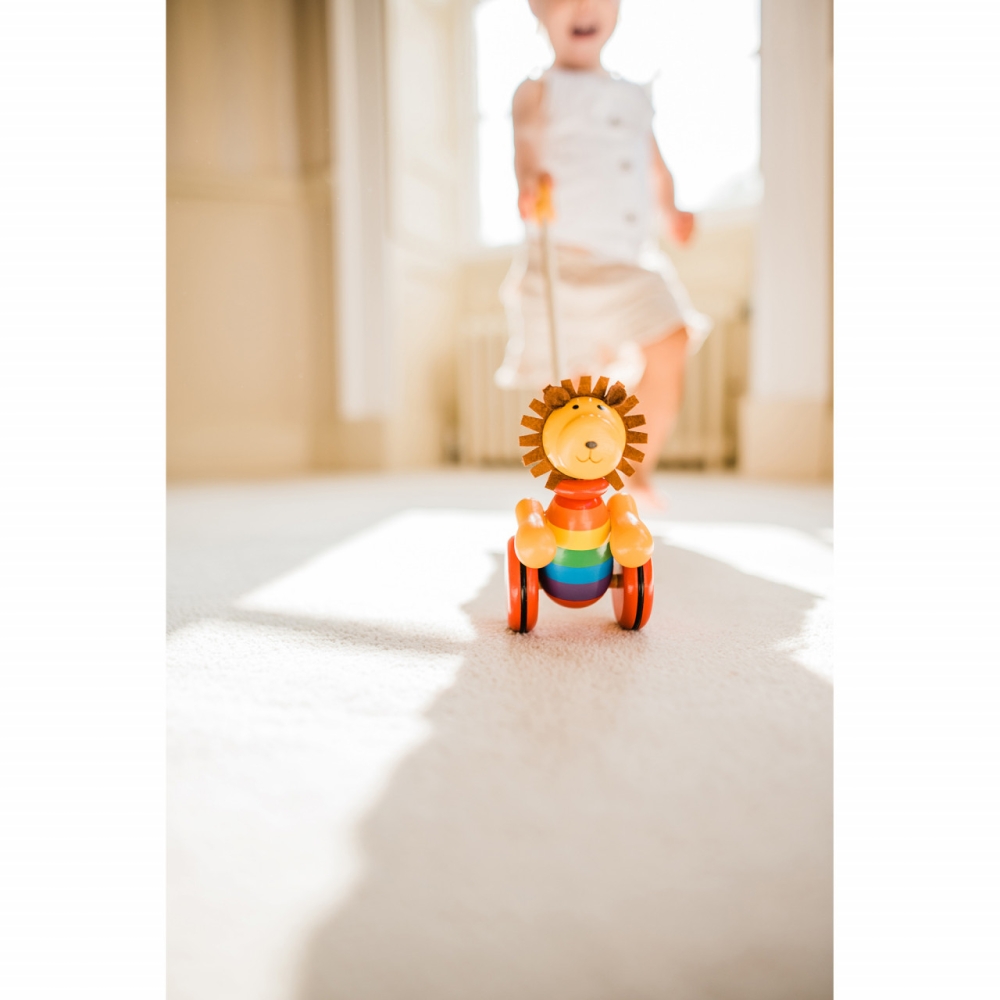 Jucarie de impins leu, Orange Tree Toys