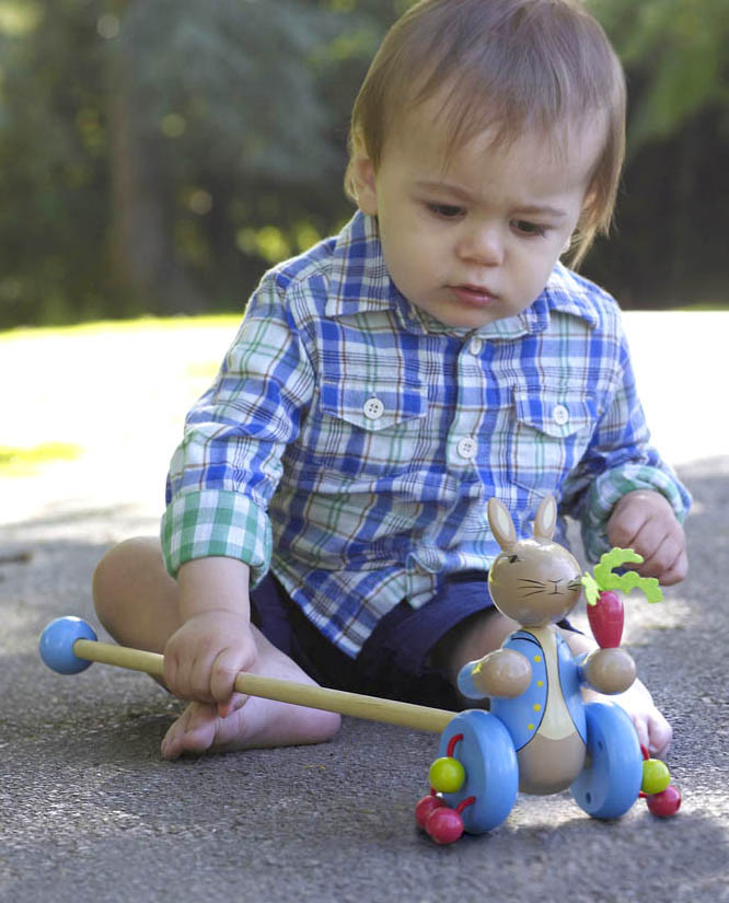 Jucarie de impins Peter Rabbittm, Orange Tree Toys