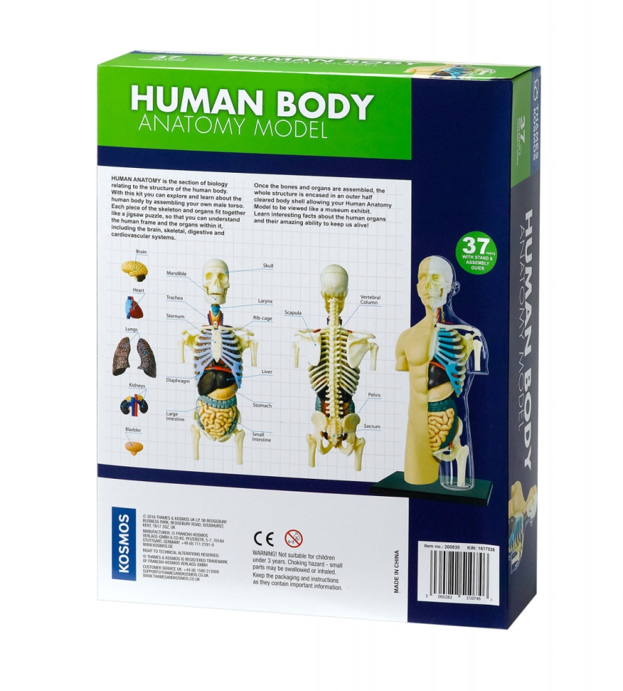 Kit STEM Anatomia corpului uman, Thames & Kosmos