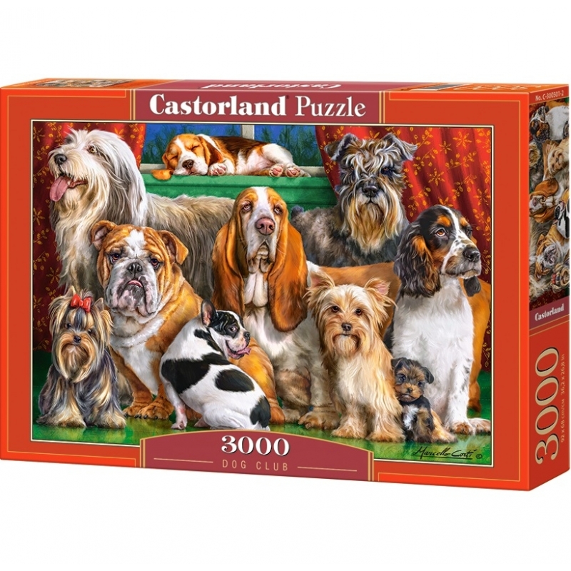 Puzzle 3000 Pcs - Castorland