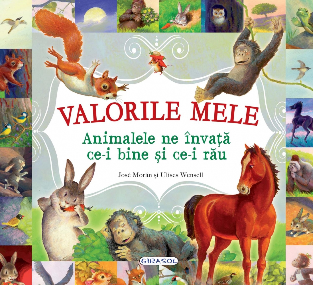 Valorile mele. Animalele ne invata ce-i bine si rau